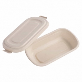 biodegradable Container with Lid-1000Pcs