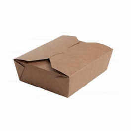 PE Takeway Kraft Box -100 Pcs